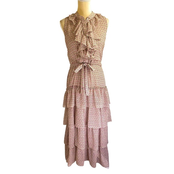 Misa Los Angeles Julez Chiffon Ruffle Tiered Maxi Dress XS - Picture 2 of 12